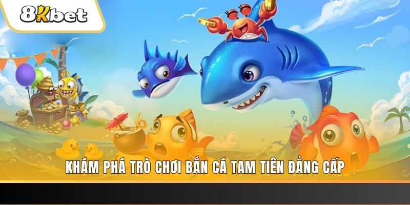 95vn slot tiếng anh la gì