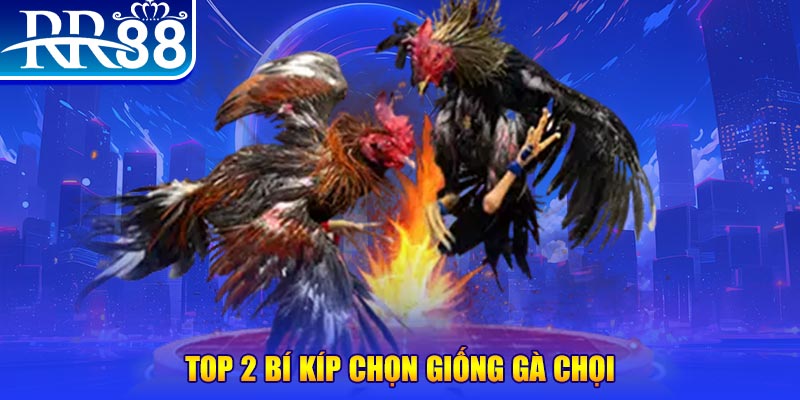 95vn bắn cá h5