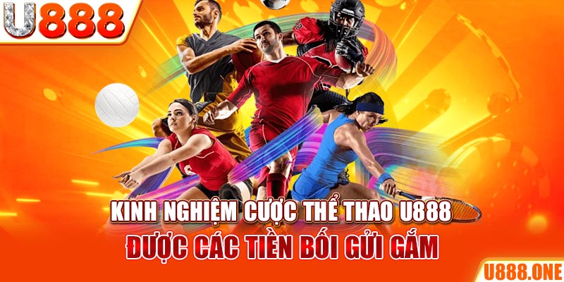 95vn ÁT CHỦ BÀI GIÀNH LẤY ZHUANG NIUNIU ( XEM 3 LÁ )