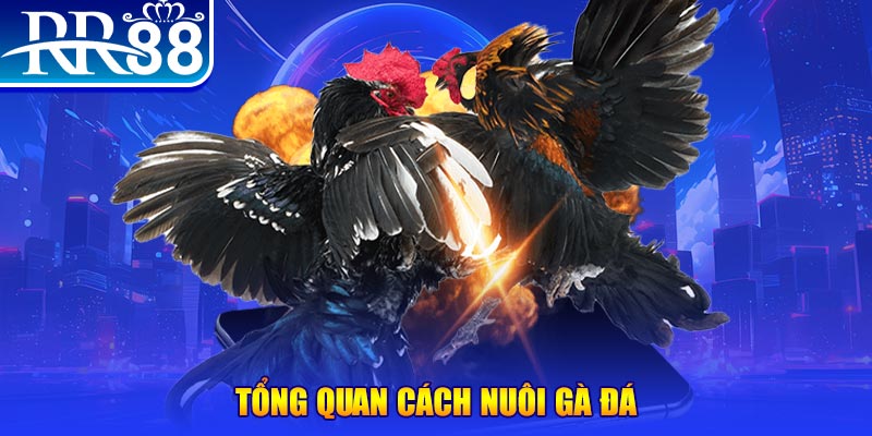 95vn xổ số thứ ba