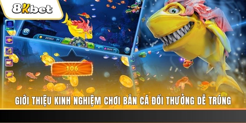 95vn xổ số miền bắc hôm