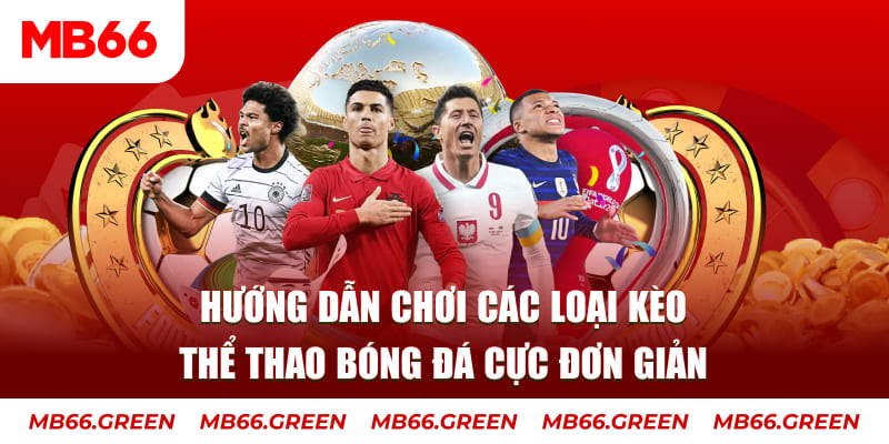 95vn nỗ hủ là gì