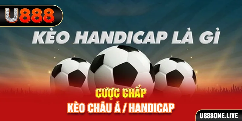 95vn tải game đánh bài tiến lên miền nam về máy tính