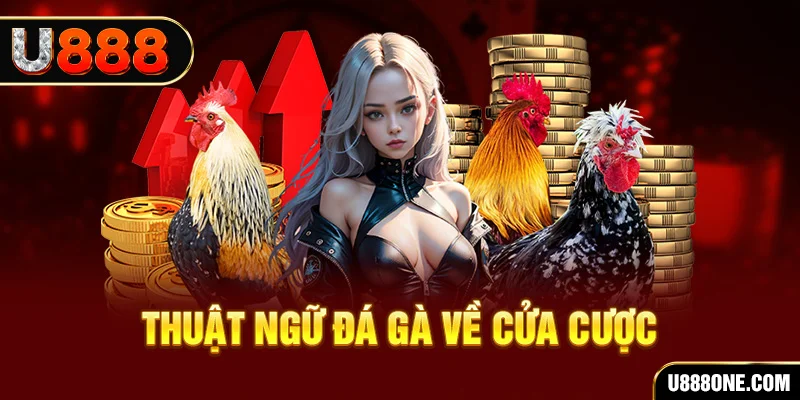 95vn da ga 88