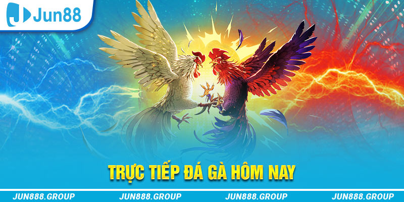 95vn trực tiếp đá gà thomo