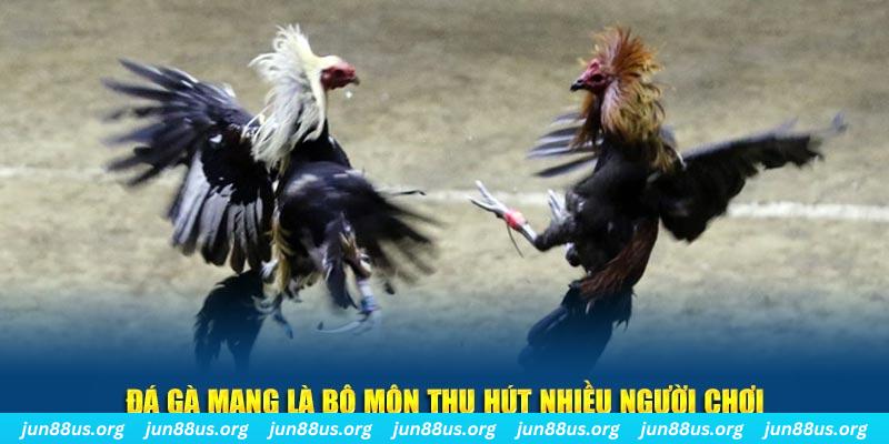 95vn xổ số long an