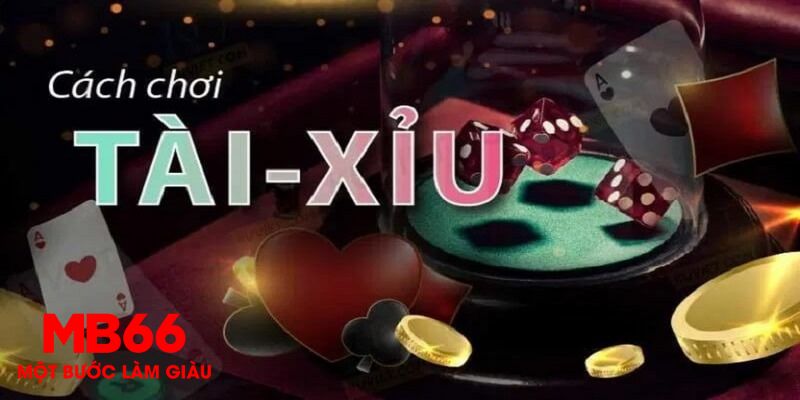 95vn 1 slot là gì