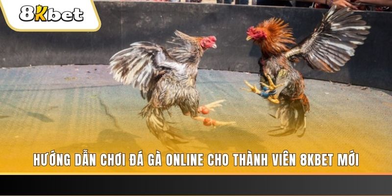 95vn nổ hũ đổi thưởng . ai