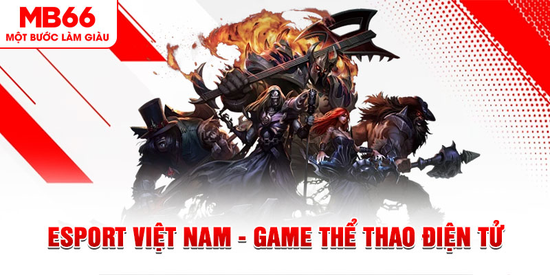 95vn PT Điện Tử