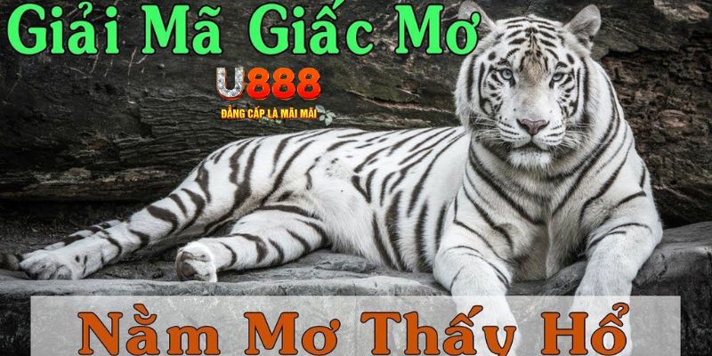 95vn Bài Poker Joker