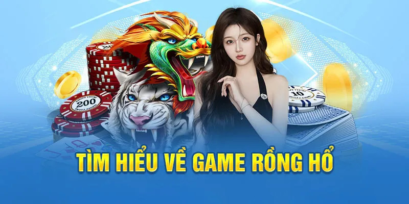 95vn ai tool slot 8.0