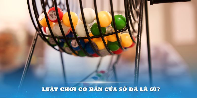 95vn Đĩa màu ace