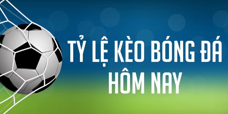 95vn ÁT CHỦ MÁY HOA QUẢ THẦN TÀI