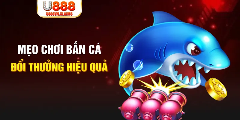 95vn xổ số thứ năm hàng tuần