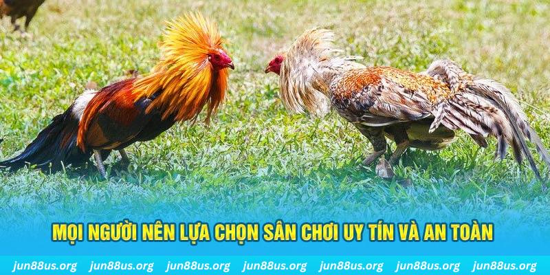 95vn Tài Xỉu