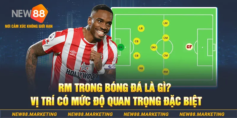 95vn MW Điện Tử