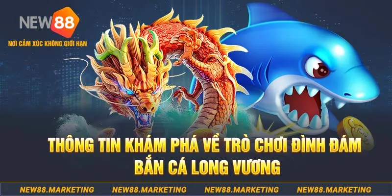 95vn choi ga c1
