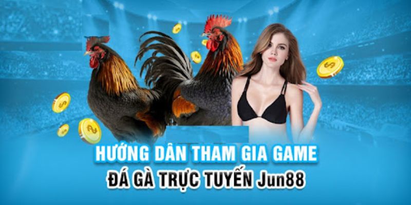 95vn slot có nghĩa là gì