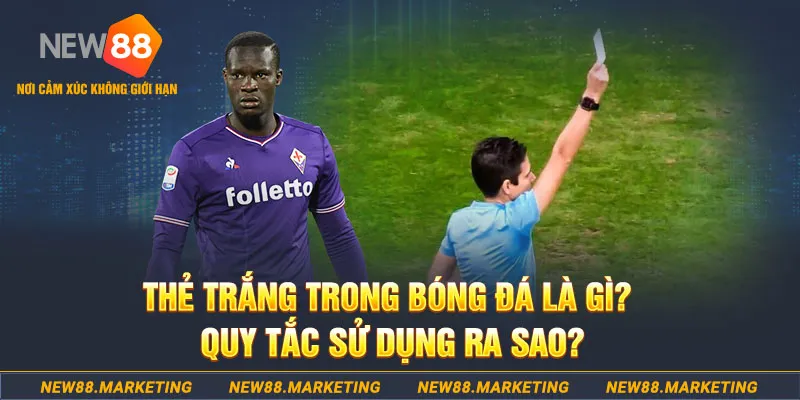 95vn nổ hủ là gì