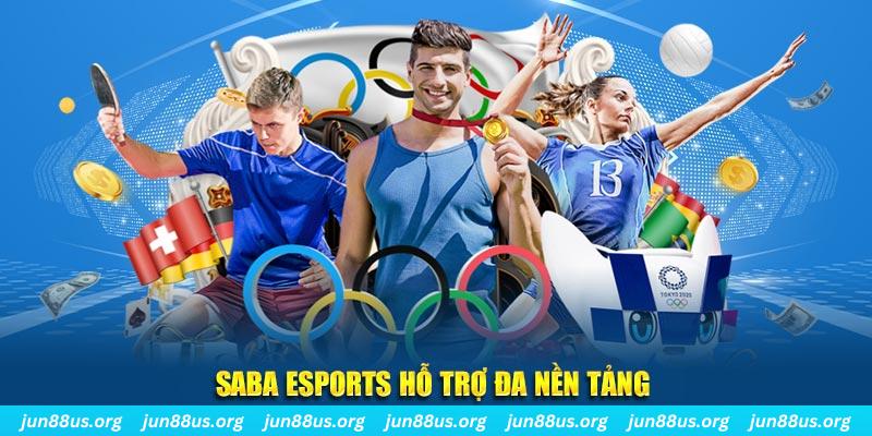 95vn gà chọi cu cần