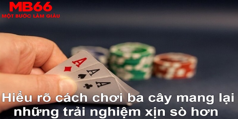 95vn DB Trực Tuyến