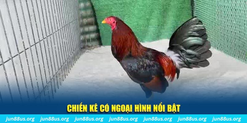 95vn nhạc slot là gì